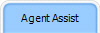Agent Assist